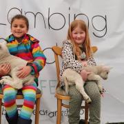 Children enjoy cuddling new born lambs Pictures: The Lambing Shed