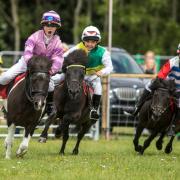 A Shetland Pony Grand National promises race day excitement at this year's Royal Cheshire County Show