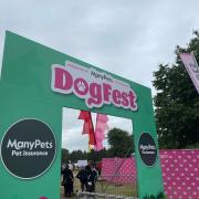 We went to DogFest's Cheshire event and had a paw-some time