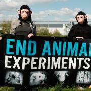 Animal rights activists protest at Manchester  Airport over the import of monkeys and dogs for research laboratories