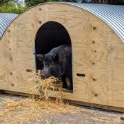 Bella settles into her luxury new home, thanks to JBGass Solicitors