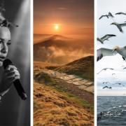 The Jazz Singer by Nigel Wells, Sunrise over Man Tor by John Cridland and Gannet Frenzy by Joe Morris, three images featured in Knutsford Photographic Society's exhibition