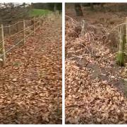 Police are appealing for information after a vandal caused £3,000 worth of damage to fencing in Toft