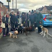 Mobberley villagers launch a new dog walking group