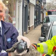 Firefighters helped the RSPCA to rescue a pigeon trapped in netting on King Street in Knutsford