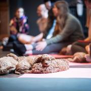 Adorable toy cockerpoo puppies taking a break during the yoga session