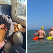 Theo and his assistance dog Malone (L), and Theo training for the swim (R)