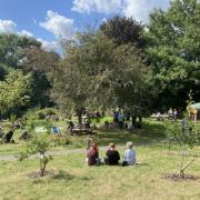 Crosstown Community Orchard is hosting a free annual barbecue