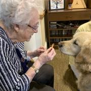 Vera Evans, a resident at Cranford Grange, gives Usher a biscuit