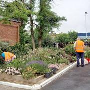 Volunteers tending flower beds at a Northern station