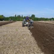 A ploughing match by Cheshire Vintage Tractor and Engine Club attracted more than 50 competitors