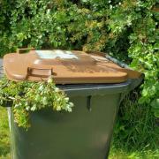A Cheshire East garden waste bin