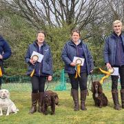 The Cheshire K9 Training team - Jodie Coutts and Amber, Jo Hibbert and Alfie, Heather Gibbs and Isla, and Lewis Evans and Tain