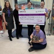 From left, Dawn Williams, Jan Stewart of Cheshire Dogs Home, Maria Harrison, Louise Burrows, Jenny Hartley and Tipsy the French Bulldog