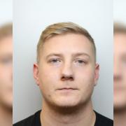 Kane Wilkins admitted causing serious injury by dangerous driving and was sentenced on April 2