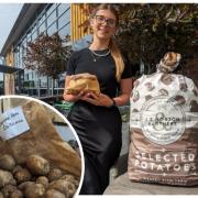 Abbie Gee from The Holly's Farm Shop in Lower Stretton is expecting high demand
