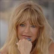 Protests marred a Jewish fund raiser attended by Goldie Hawn