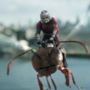 Paul Rudd as Scott Lang/Ant-Man